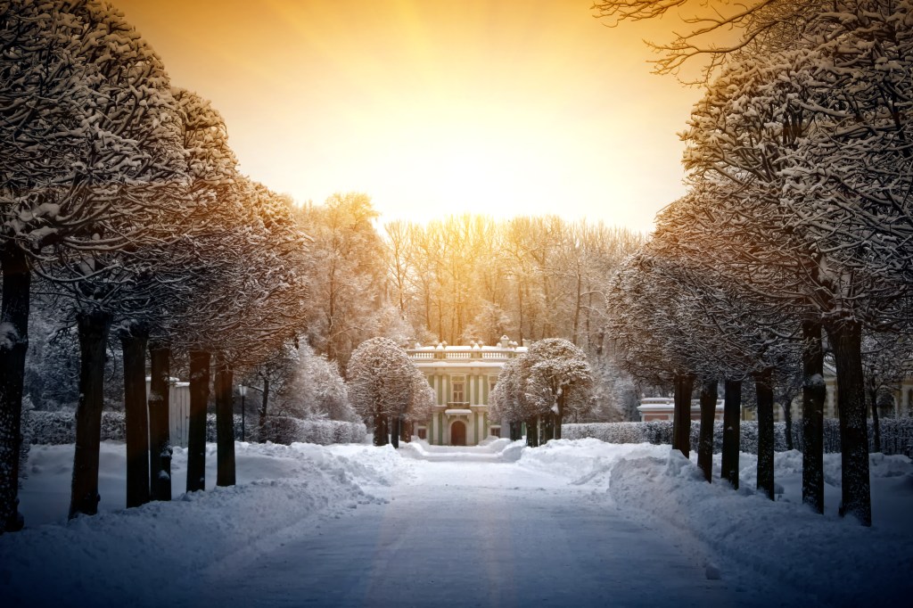 Reverie & Rancour For Sale&nbsp;Now!